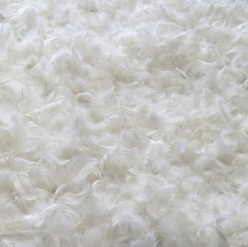 All-season Duck Feather and Down Duvets (King